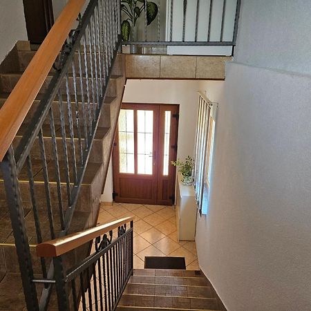 Apartment Majetic Gornji Vaganac Екстер'єр фото